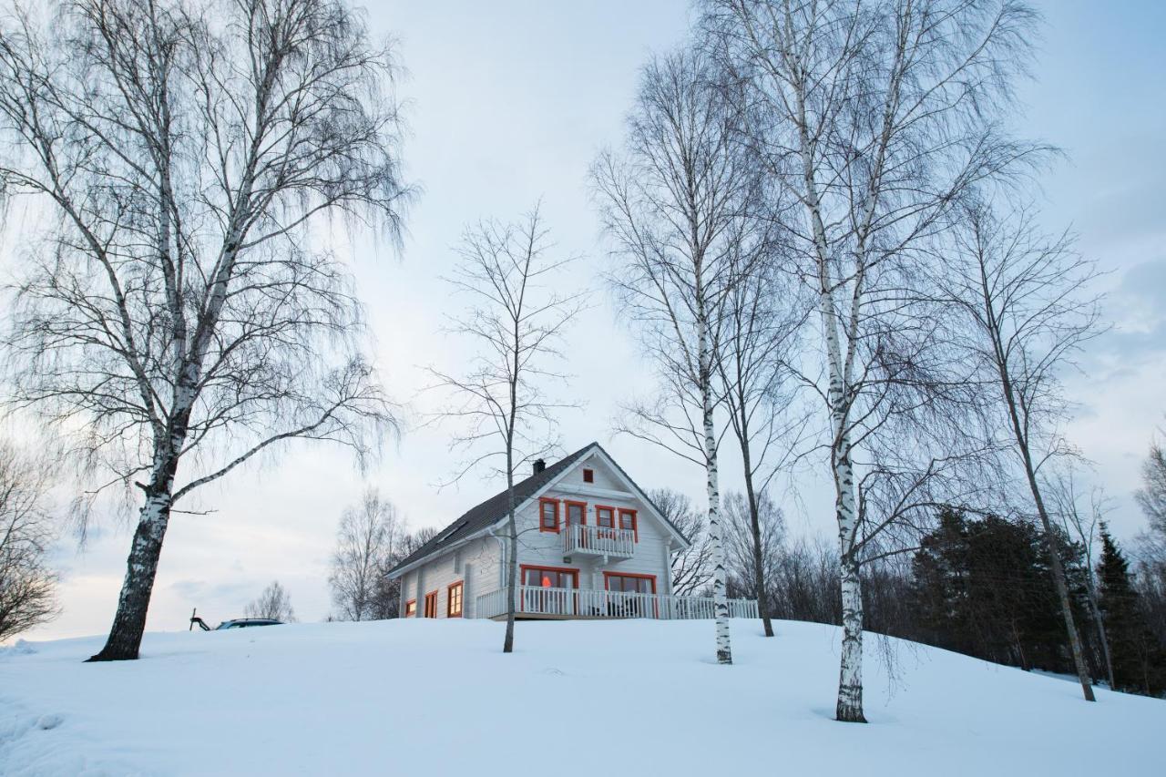 Vasekoja Holiday Center Vahtseliina 외부 사진
