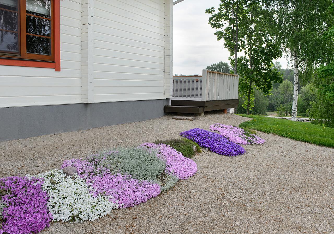 Vasekoja Holiday Center Vahtseliina 외부 사진